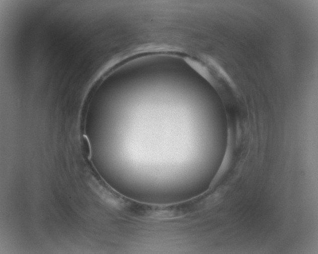 X0000083061173200702091456