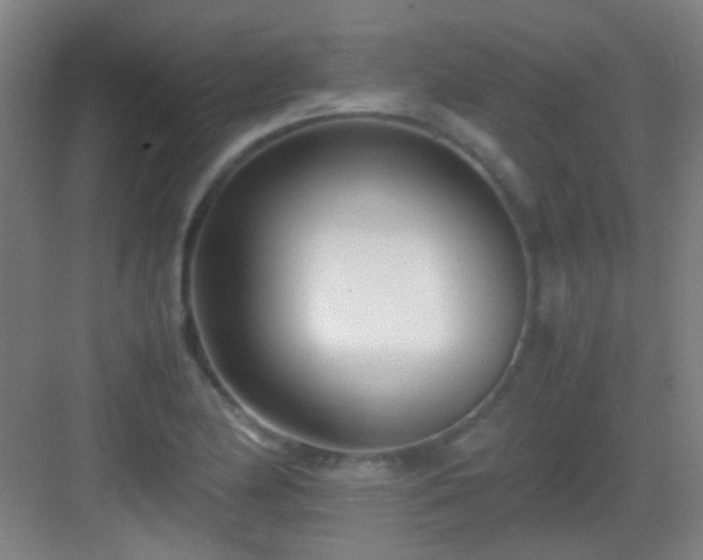 X0000083061174200702091456