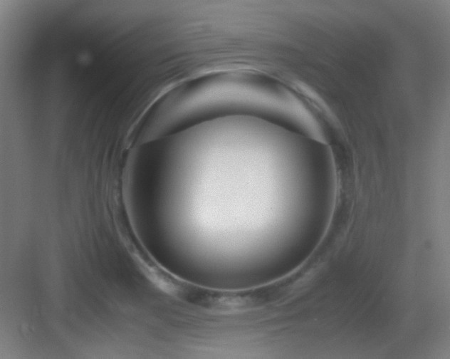 X0000083061177200702091456