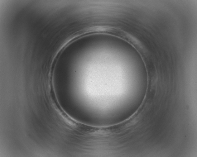 X0000083061178200702091456