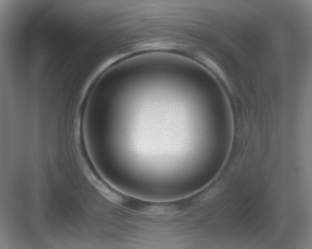 X0000083061179200702091456