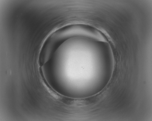 X0000083061181200702091456