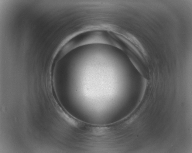 X0000083061184200702091456