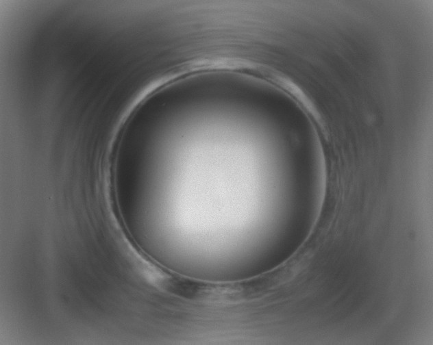 X0000083061187200702091456
