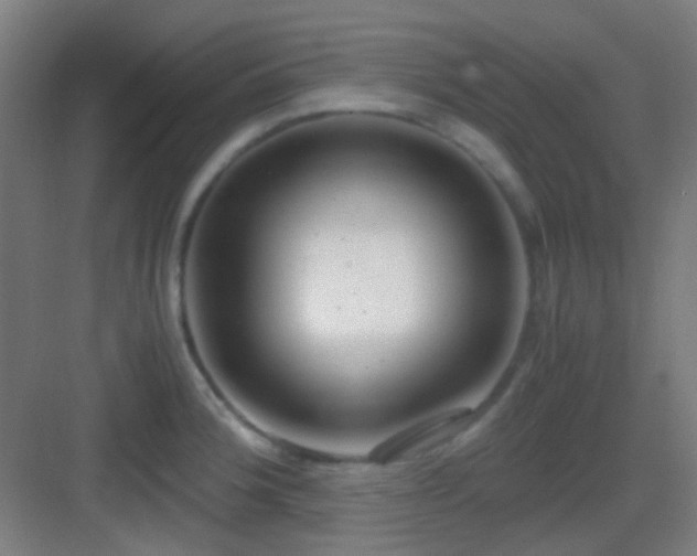 X0000083061188200702091456