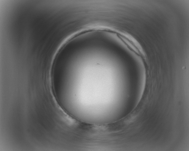 X0000083061191200702091456