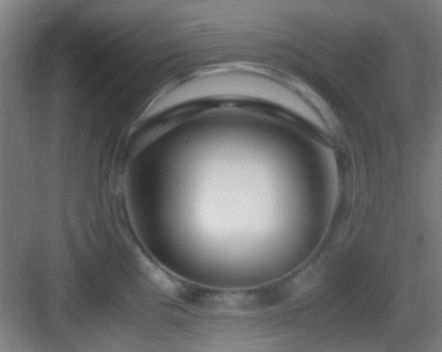 X0000083061193200702091456
