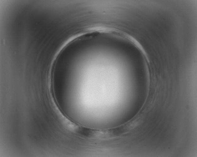 X0000083061195200702091456