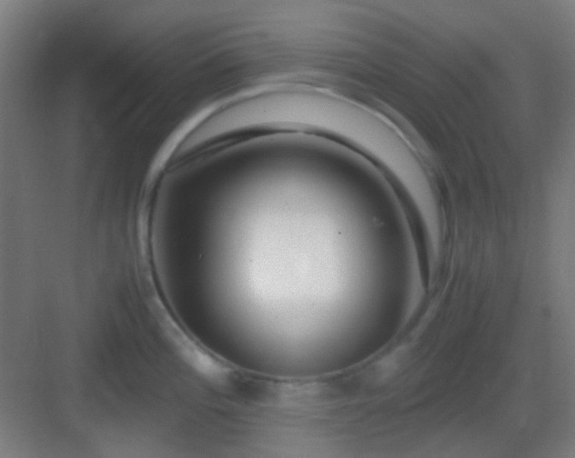 X0000083061196200702091456