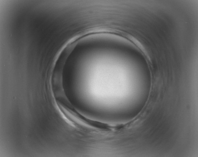 X0000083061197200702091456