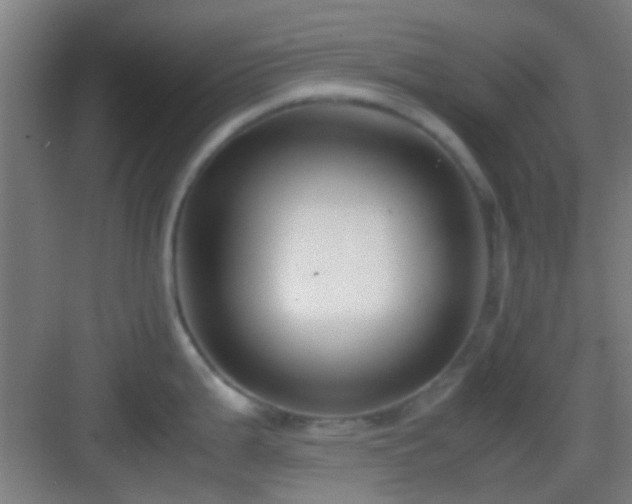 X0000083061199200702091456