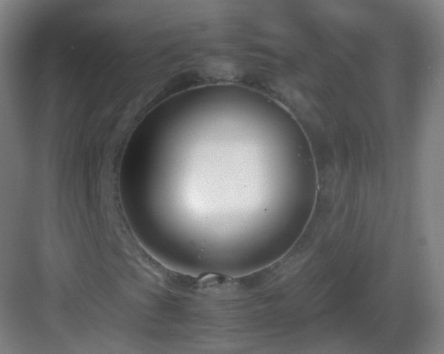 X0000083061201200702091455