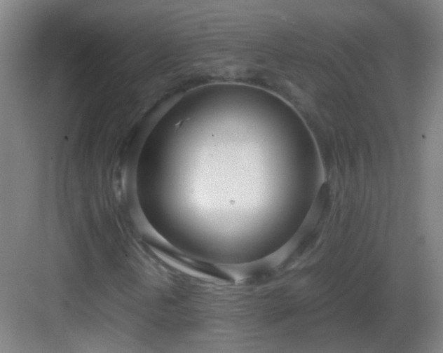 X0000083061202200702091455