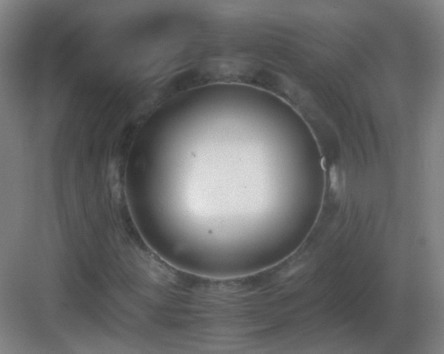X0000083061203200702091455