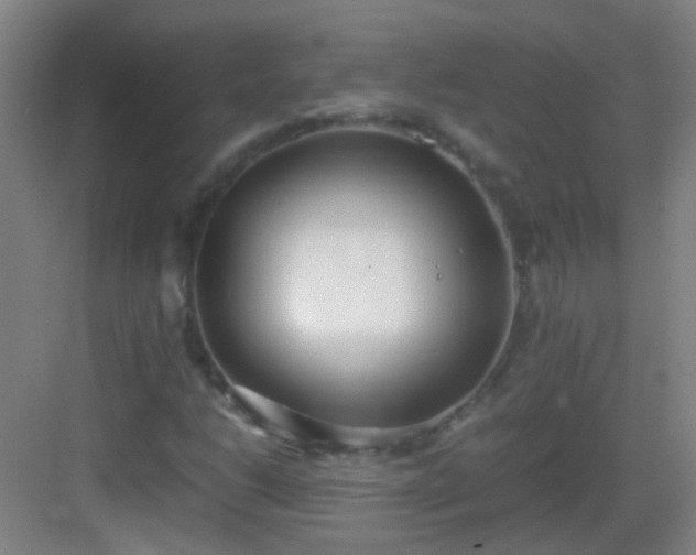 X0000083061206200702091455