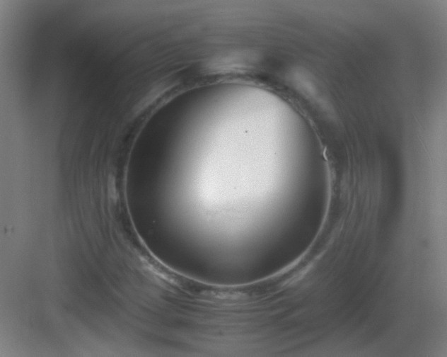 X0000083061209200702091455