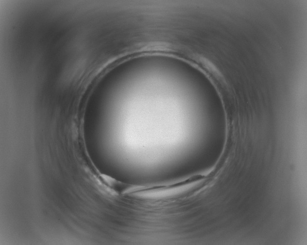 X0000083061212200702091455