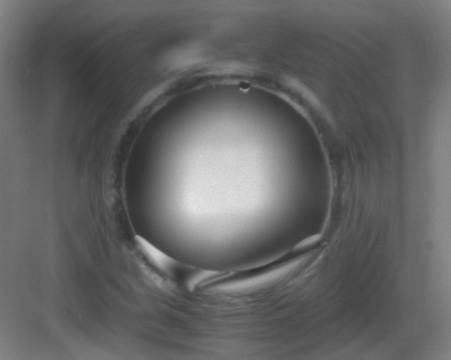 X0000083061213200702091455
