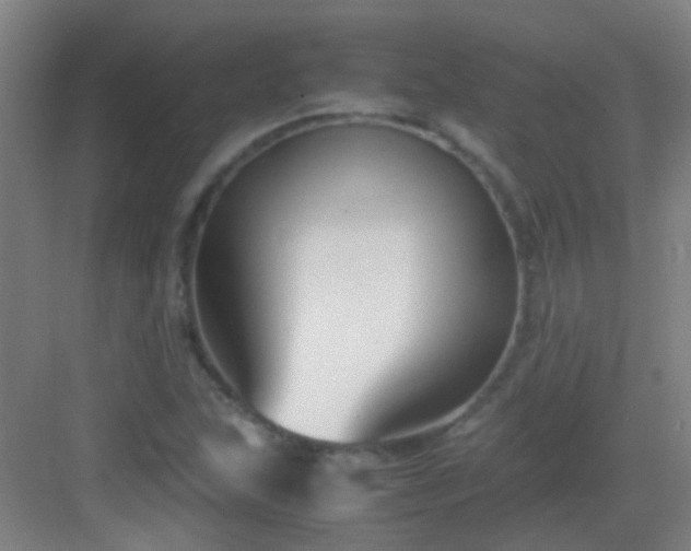 X0000083061215200702091455