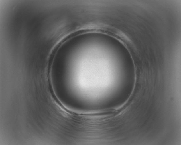 X0000083061216200702091455