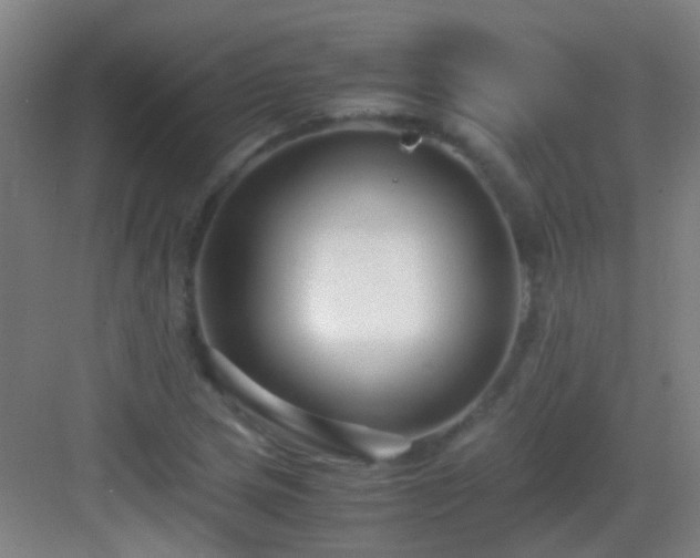 X0000083061217200702091455