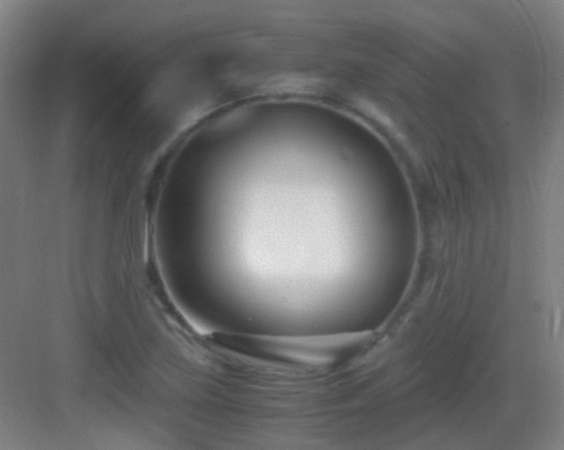 X0000083061219200702091455