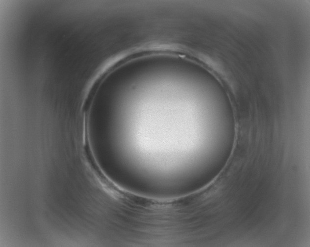 X0000083061223200702091455