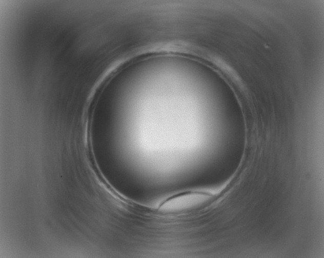 X0000083061224200702091455