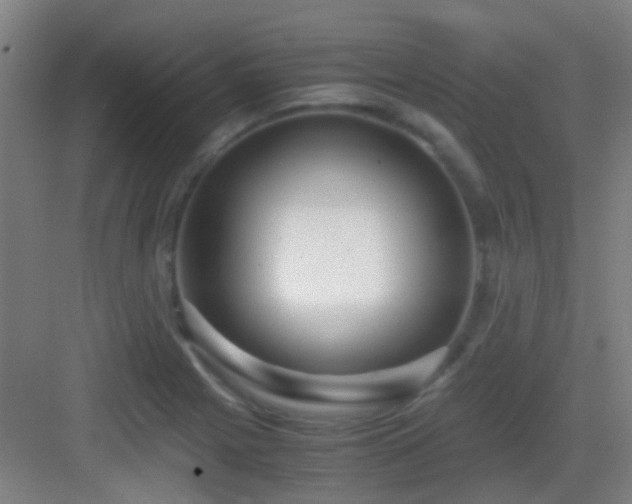 X0000083061225200702091455