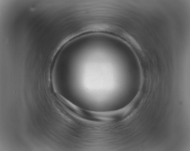 X0000083061226200702091455
