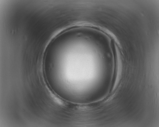 X0000083061231200702091455