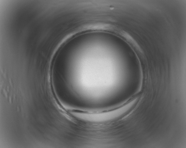 X0000083061232200702091455