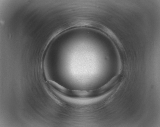 X0000083061234200702091455