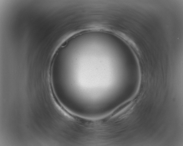 X0000083061239200702091456