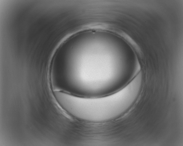 X0000083061240200702091456