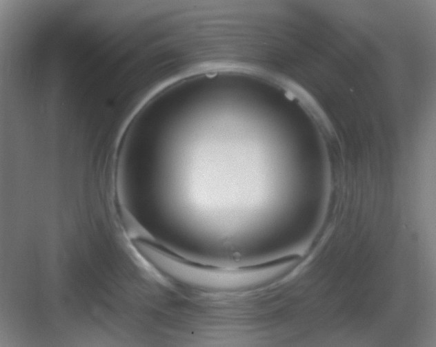 X0000083061244200702091456