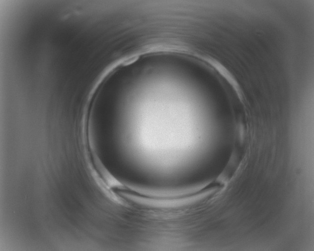 X0000083061246200702091456