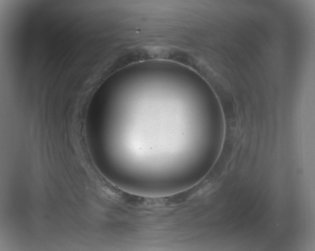X0000083061249200702091455