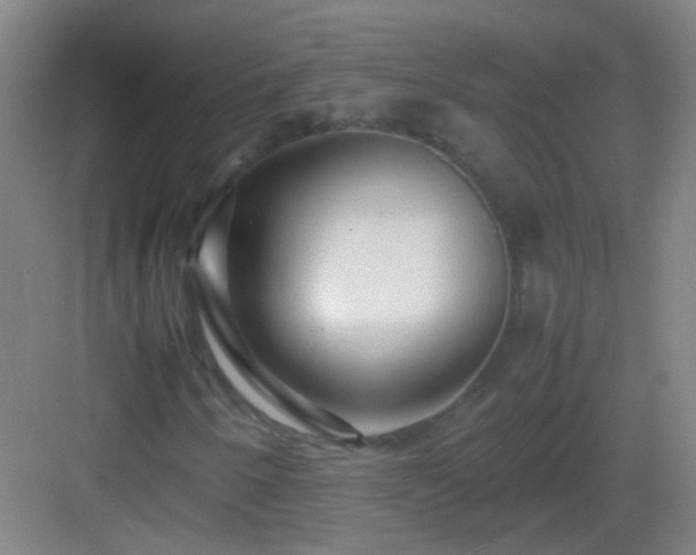 X0000083061250200702091455