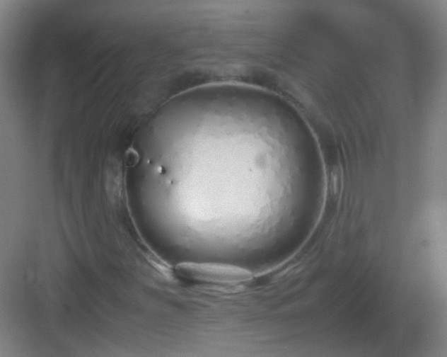 X0000083061251200702091455