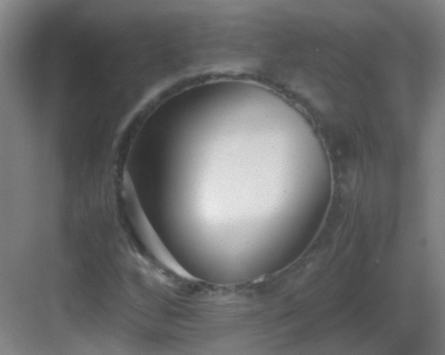 X0000083061256200702091455