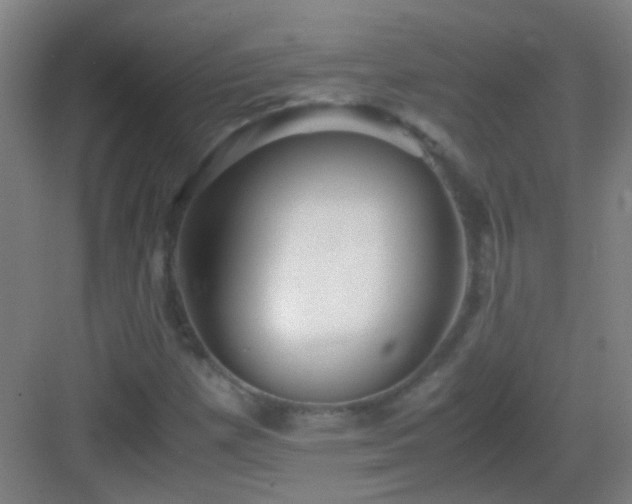 X0000083061257200702091455