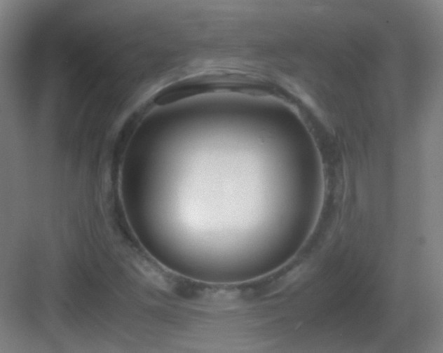 X0000083061261200702091455