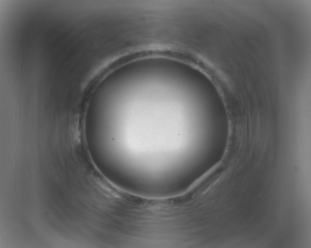 X0000083061262200702091455