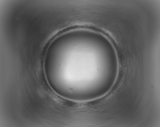 X0000083061263200702091455