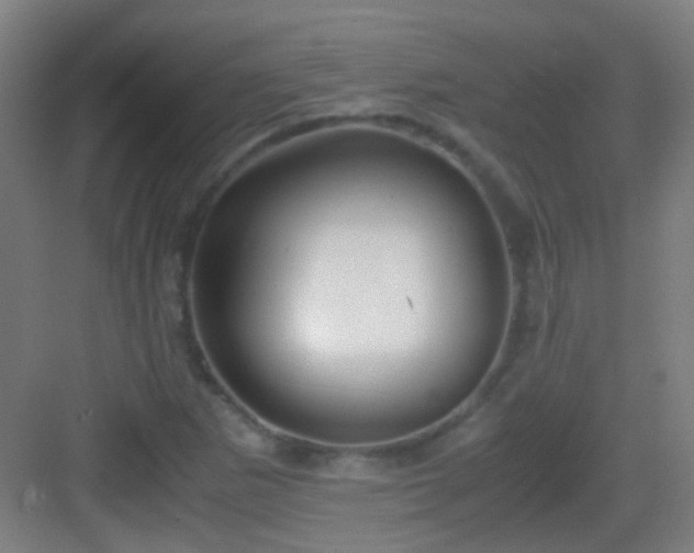 X0000083061265200702091455