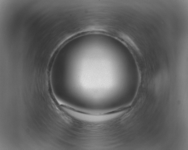 X0000083061268200702091455