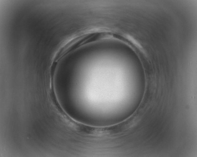 X0000083061269200702091455