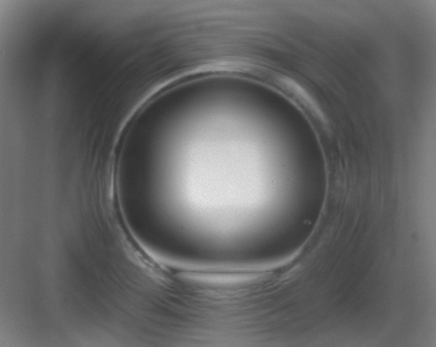 X0000083061276200702091454