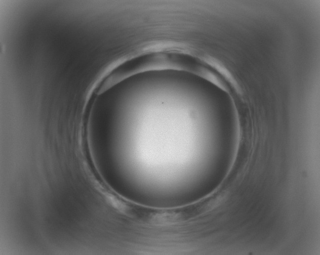 X0000083061277200702091454